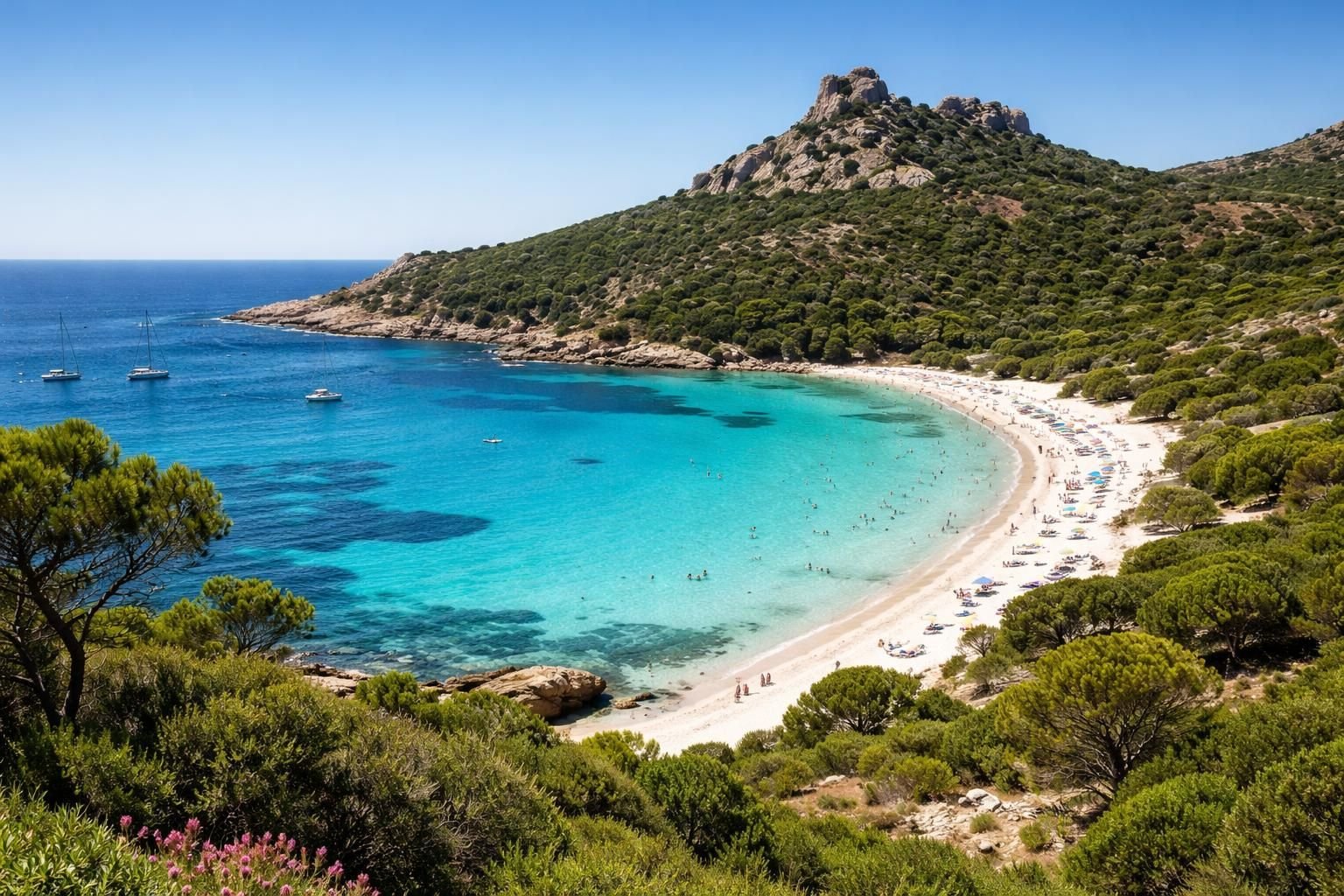 découvrez la plage de roccapina, un joyau naturel en corse, offrant des paysages sauvages, une mer turquoise et une ambiance authentique pour des moments inoubliables.